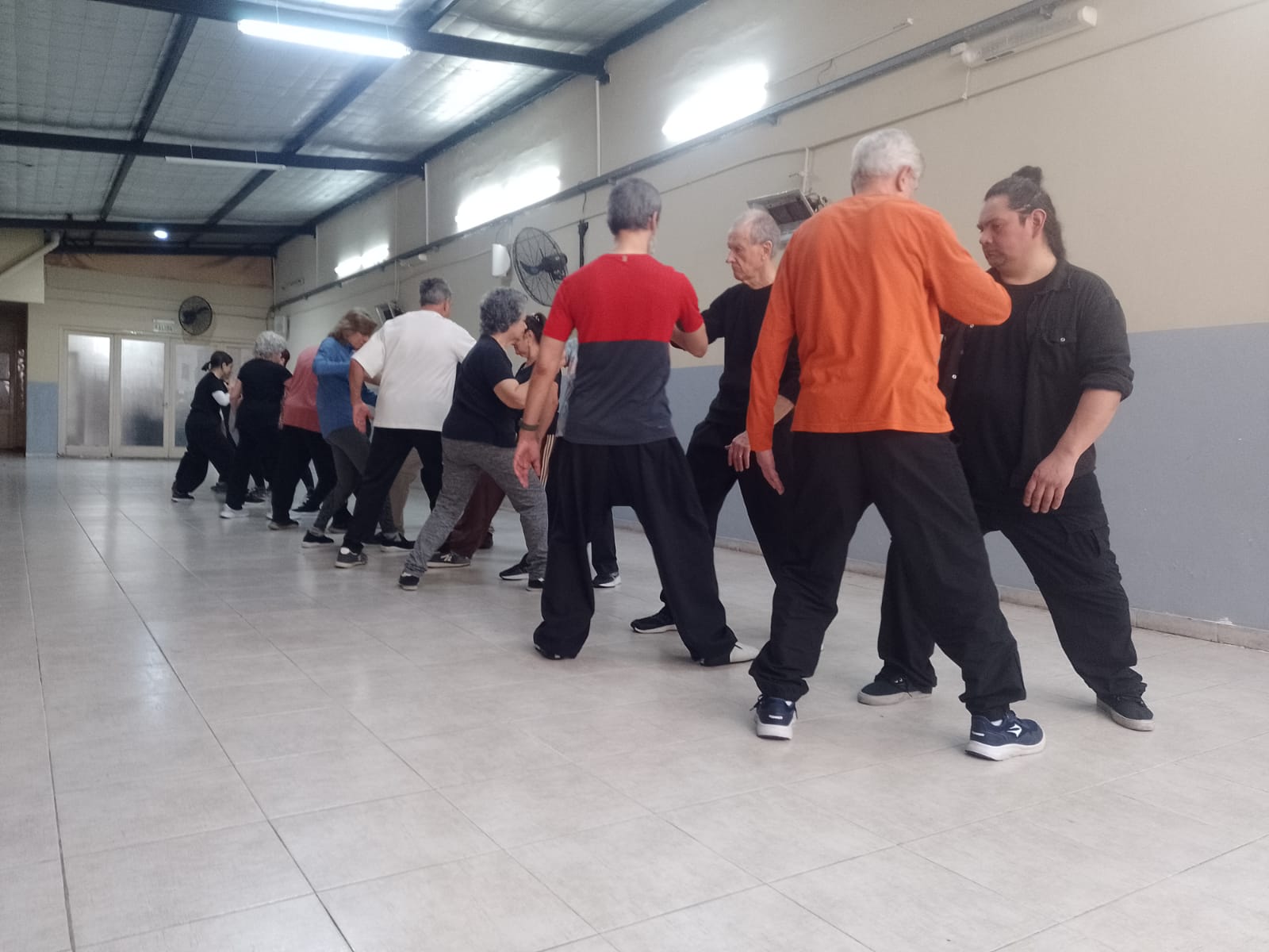 Ciclo de Clases de Tui Shou Tradicional de la familia Yang 